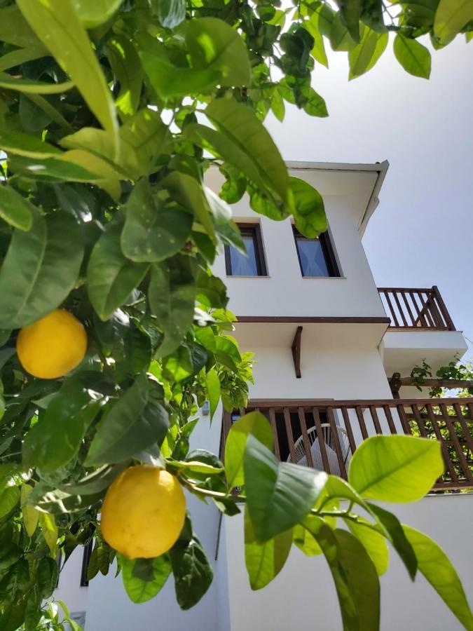 Aegean Blue - Villas Stivachtis Agios Ioannis  Екстериор снимка